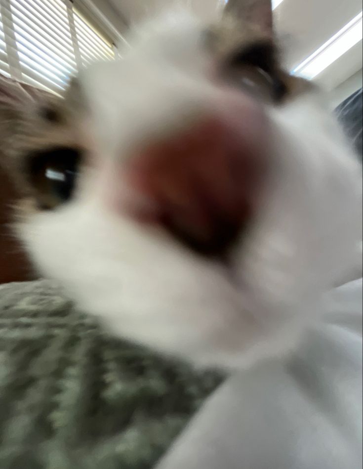 Arlind Aliu's Profile Picture