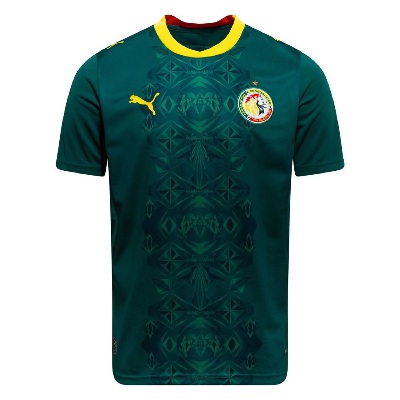 senegal vm 2026 drakt borte